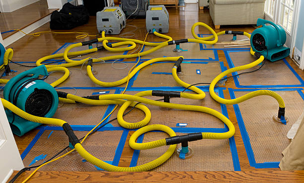 Professional Emergency Water Removal technician working in Sadsburyville, PA